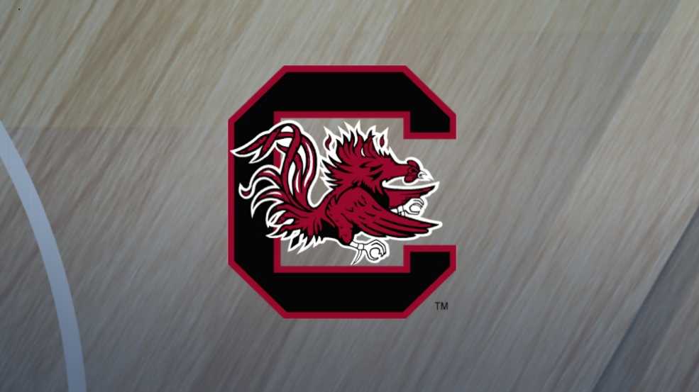 South Carolina men's basketball team to face Boston College in ACC-SEC challenge