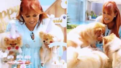 Magaly Medina celebró a lo grande el primer año de sus perritos: “Los bebés”