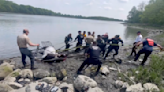 NYPD doesn't horse around rescuing muddy equine from Bronx beach