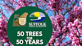 Suffolk to plant 50 trees for city’s 50-year anniversary; here’s how to apply