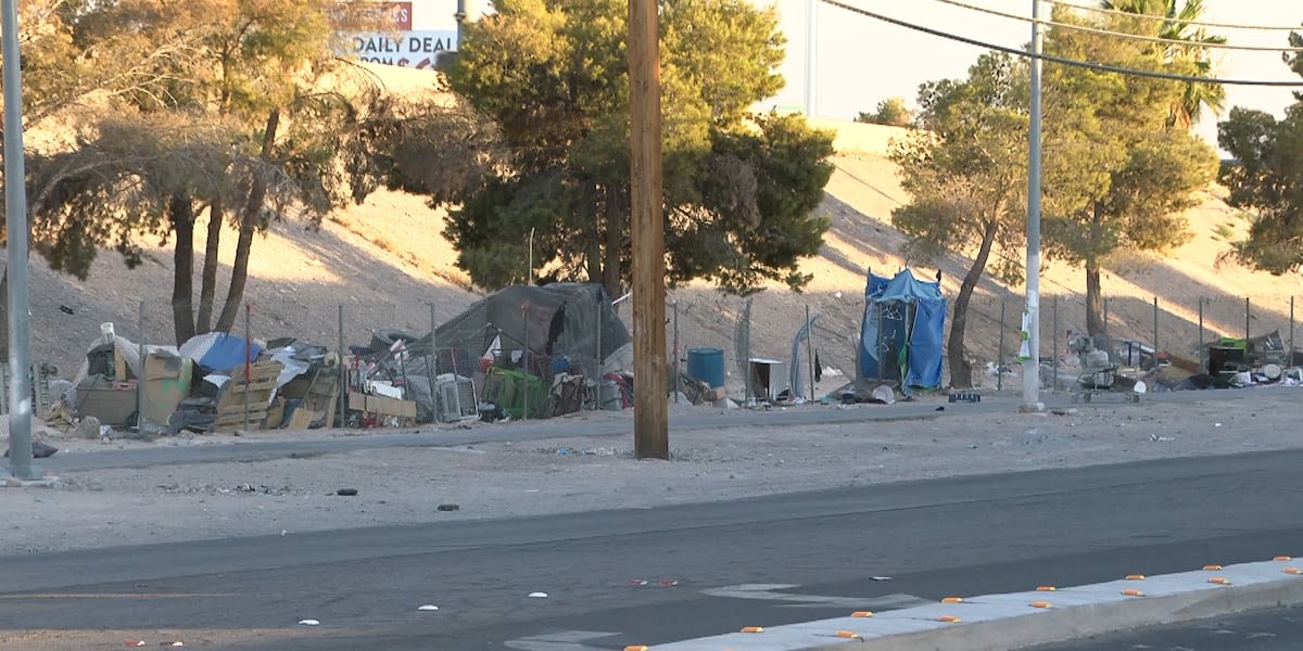 Group of neighbors call for NDOT to take action to clear homeless camps