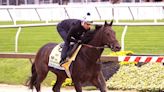 The Road: More 'Fresh' Horses Challenging in Preakness