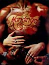 Mandingo - O Fruto da Vingança