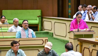 Rajasthan Budget puts focus back on bijli, sadak, paani