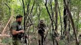 Search operation launched after suspicious movement in J-K's Poonch | Business Insider India