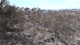 Estabilizado el incendio forestal originado en Cataluña tras calcinar más de 500 hectáreas en Aragón