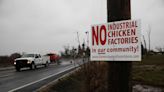 Controversial Linn County chicken ranch put on hold following permit withdrawal