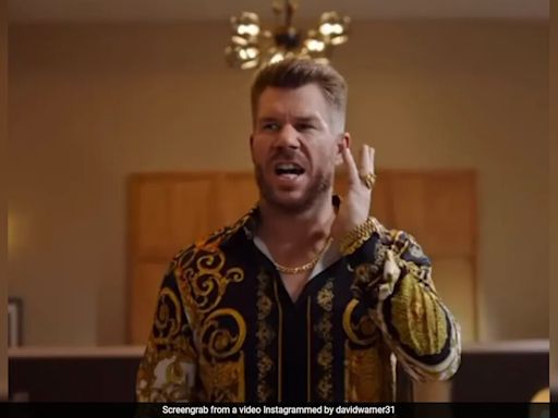 Fanboy David Warner Channels His Inner Pushpa In New Advert. Allu Arjun's Reaction