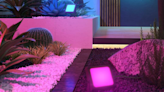 The best outdoor smart lights for 2024 add magic to your summer nights