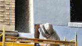 ‘Aggressive’ bee colony plaguing The Florida Theatre rehomed