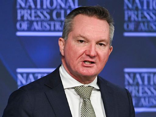 War of words erupts between 'cooker' senator and Chris Bowen