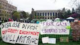 Democrats divided on pro-Palestinian campus protests: Poll
