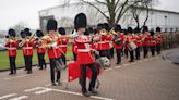 Irish Wolfhound mascot Seamus leads Irish Guards in St Patrick’s Day parade