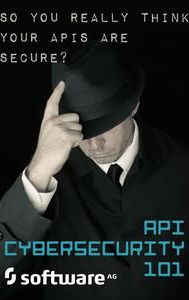 API Cybersecurity 101