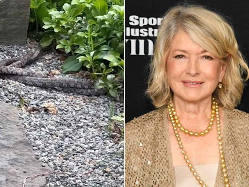 Martha Stewart Shares Video of Snakes Acting Strangely and Asks 'Is This Love?' or 'Murder?'