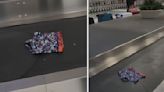 Traveling light and how! Video of boxers on Delhi airport's baggage conveyer belt makes internet laugh