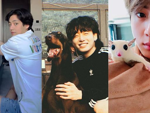 From V-Yeontan to Jungkook-Bam, BTS with their supremely adorable pets in pictures