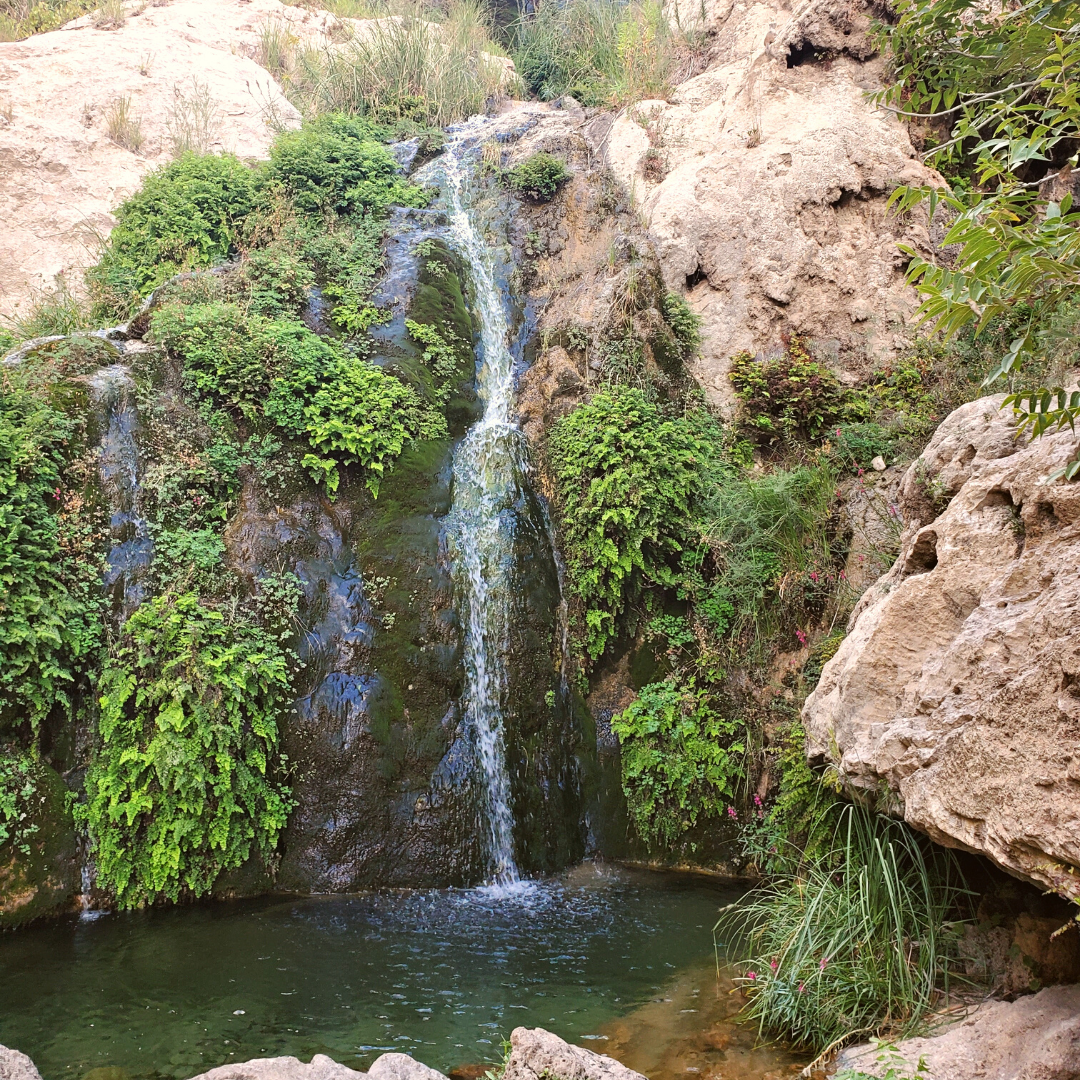 Sitting Bull Falls in Lincoln National Forest closed due to staffing shortages