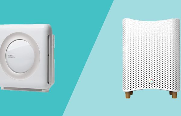 Pet Hair, Mold, and Other Allergens Have Nothing on These Air Purifiers