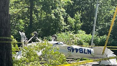 Pilot hurt when plane crashes into Terryville campground