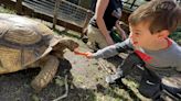 Bonita's Wonder Gardens promotes conservation, visitation since 1936