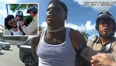 Tyreek Hill Police Bodycam Video Shows Cops 'Did Nothing Wrong': Expert