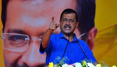 Supreme Court grants bail to jailed opposition leader Arvind Kejriwal to take part in election campaign