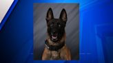 Greenfield Police Department K-9 struck by vehicle while pursuing suspect