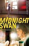 Midnight Swan