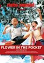 Flower in the Pocket