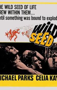 Wild Seed (film)