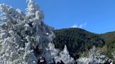 宛如冬季雪國！太平山、啞口大片霧淞超壯觀 入園限制時間曝光