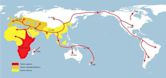 Early expansions of hominins out of Africa