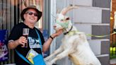 Tributes as much-loved goat famed for trips to local pub dies