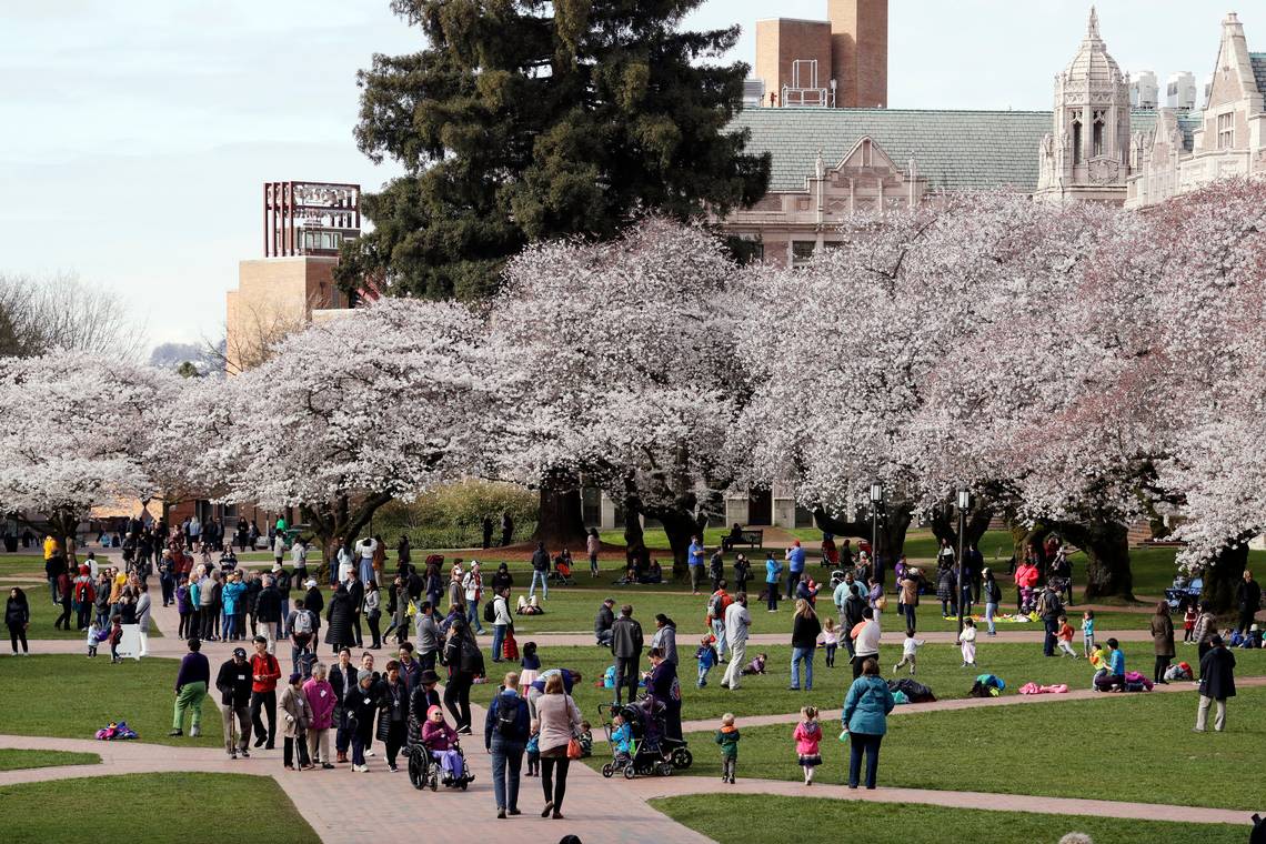 WA grant offers free tuition at several colleges. Here’s why so few apply & how you can