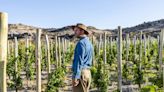 Es argentino, encontró agua en el desierto de la Patagonia y hoy vende vinos desde US$100