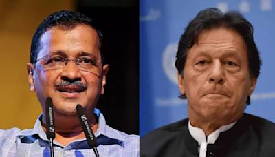 Why Did Kejriwal's Lawyer Bring Up Imran Khan And Pakistan During Bail Hearing