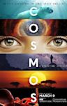 Cosmos: A Spacetime Odyssey