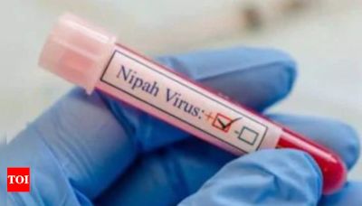 14-year-old boy dies from Nipah infection in Kerala | Kochi News - Times of India