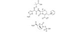 Ceftazidime/avibactam