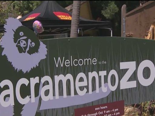Elk Grove mayor, zoo director share excitement, plans as relocation effort moves forward