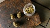 Study finds cannabis use common among patients, with most using it to manage a symptom or health condition