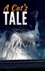 A Cat's Tale