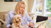 How pet insurance reimburses owners
