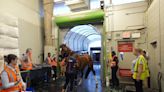 Horses take to the air with passports and carryons ahead of equestrian eventing at Paris Olympics