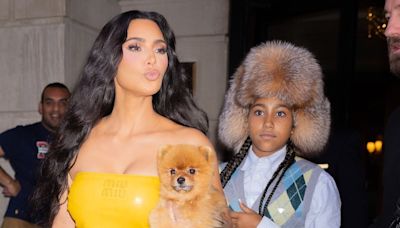 Kim Kardashian coordinates her outfit with pet pooch Sushi in New York