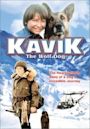 The Courage of Kavik the Wolf Dog