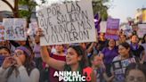 Marchas 8M: Estas son las convocatorias por estados para el Día Internacional de la Mujer