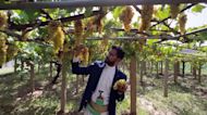The battle between China and Yemen's grapes