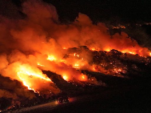 巴西「大沼澤」濕地火災年增近10倍 當地恐面臨極端大旱